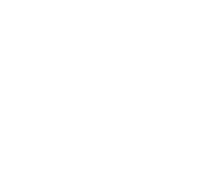 80 percent icon