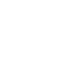 81 percent icon