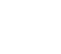 84 percent icon