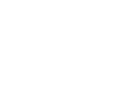 89 percent icon