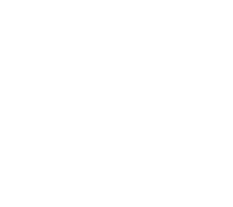 97 percent icon